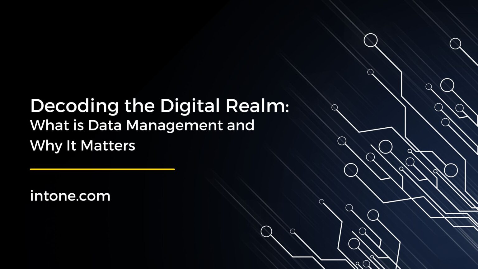 Decoding the Digital Realm: What is Data Management and Why It Matters
